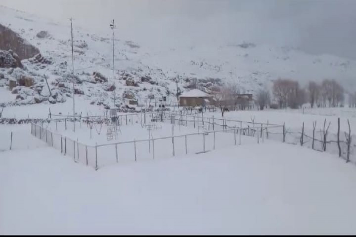 Северный регион Азербайджана накрыл снегопад-ФОТО 