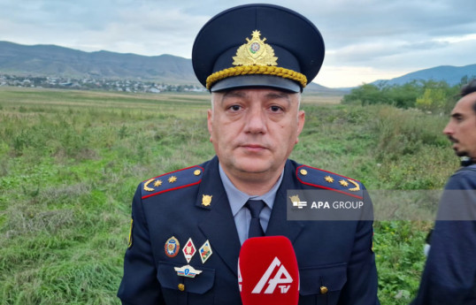 Эльшад Гаджиев