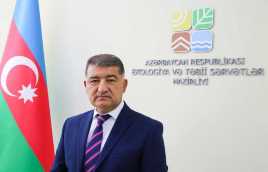 Президент Азербайджана назначил экс-замминистра главой ИВ