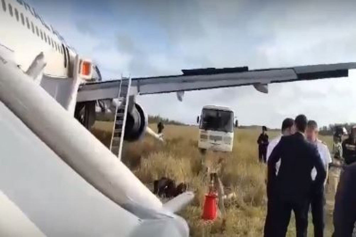 В РФ самолет совершил аварийную посадку - ВИДЕО 