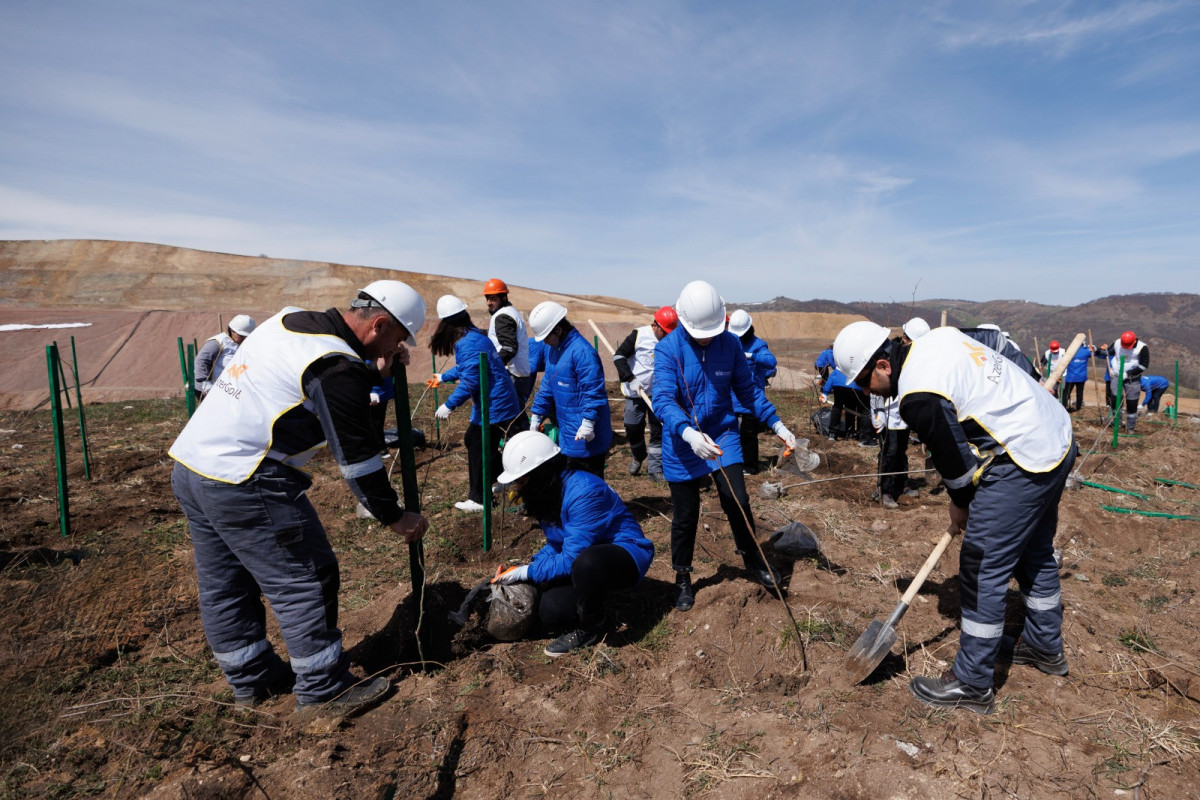 ЗАО «AzerGold» и ОО «Региональное развитие» провели экологическую акцию-ФОТО 
