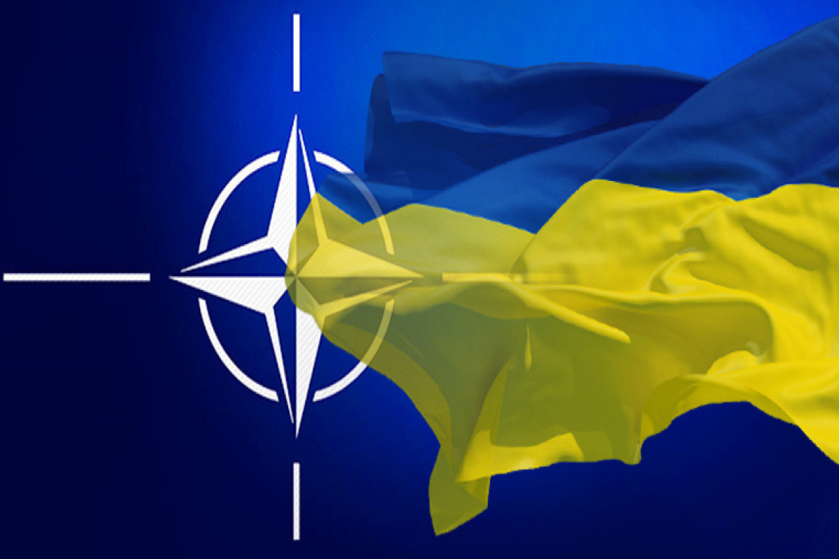 МИД Польши: Страны НАТО создали совместную миссию в Украине