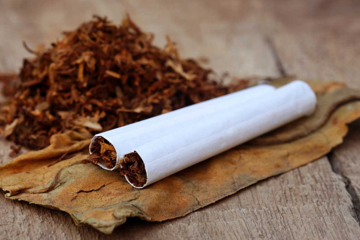 В Азербайджане для производства табачных изделий потребуются инвестиции в размере не менее 34 млн. манатов