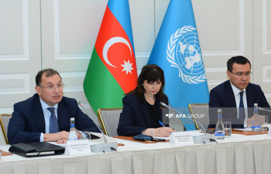 Сахиб Мамедов: Минная угроза в Карабахе и Восточном Зангезуре замедляет восстановление экономики