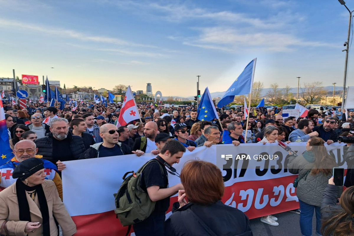 В Тбилиси проходит масштабная акция протеста -ФОТО-ОБНОВЛЕНО 