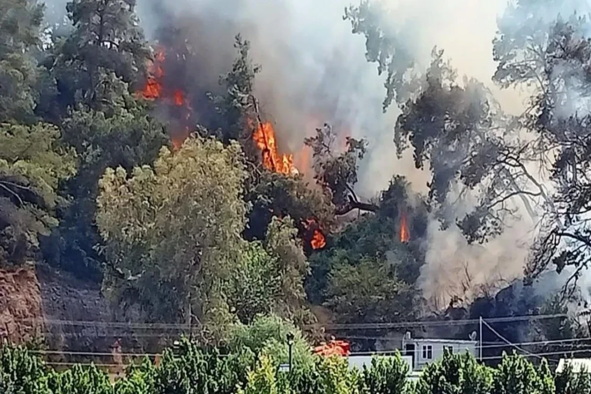 Лесной пожар в Анталии взят под контроль-ОБНОВЛЕНО 