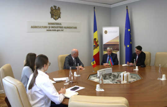 Обсуждены возможности расширения сотрудничества между Азербайджаном и Молдовой-ФОТО 