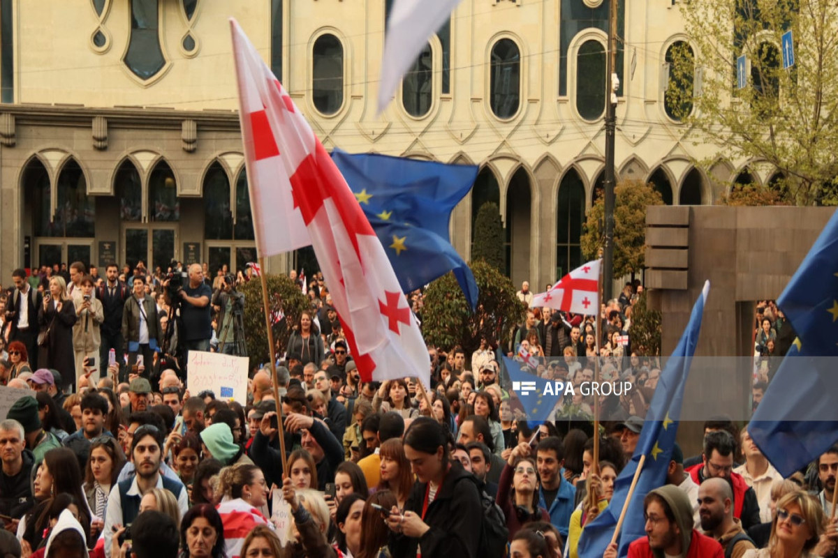 Перед зданием парламента в Тбилиси проходит акция протеста - ФОТО 