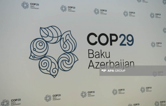 Внесена ясность в повестку переговоров по заключительным документам, ожидаемым от COP29