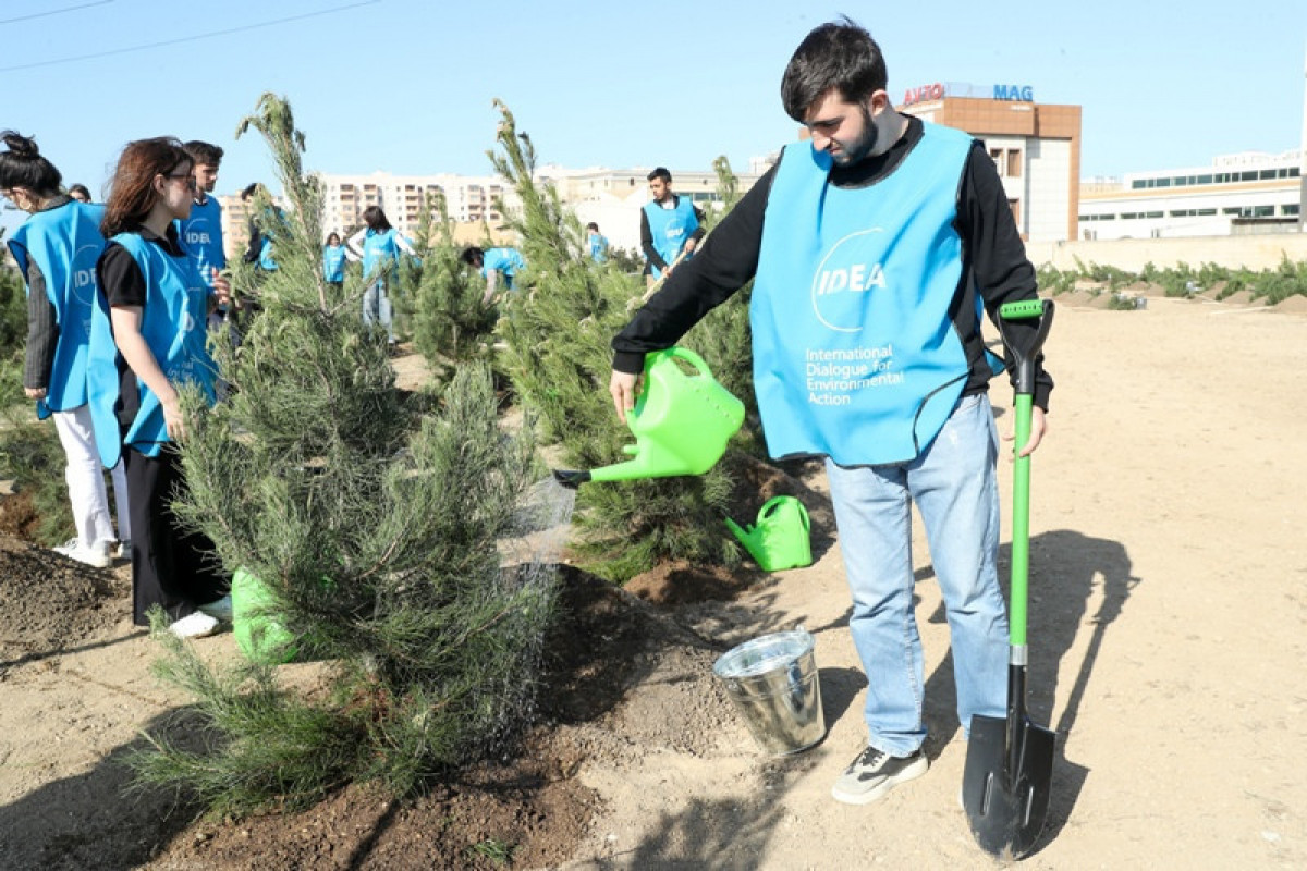В Баку проведена акция по посадке деревьев с участием Лейлы Алиевой