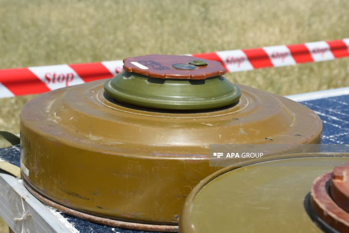 На освобожденных территориях Азербайджана обнаружены 51 мина, 452 НРБ