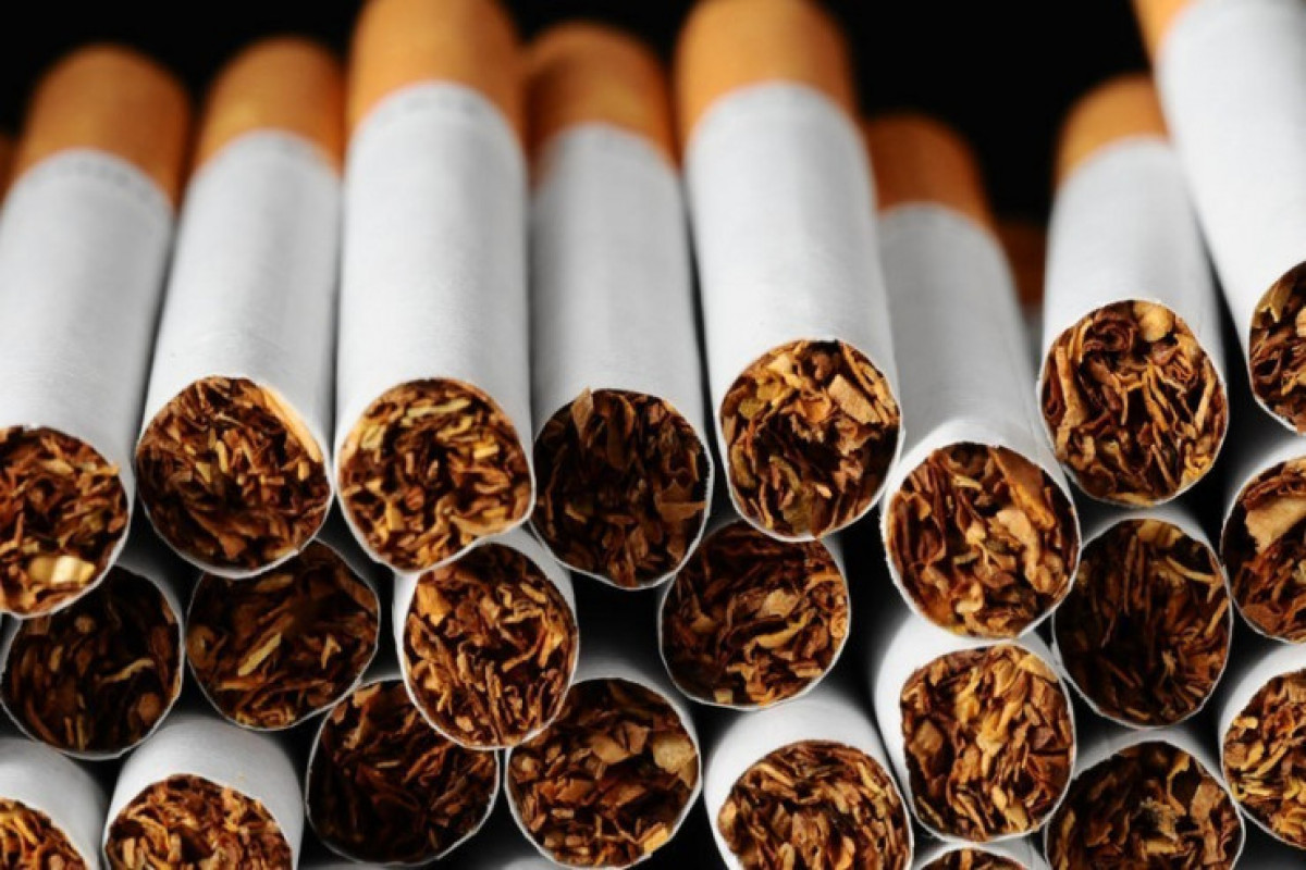 В Азербайджане использование местного сырья в производстве сигарет будет необходимым