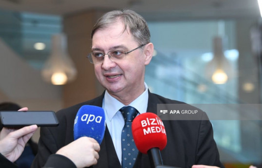 Румынский эксперт: Уделение Азербайджаном внимания вопросам глобального потепления имеет большое значение