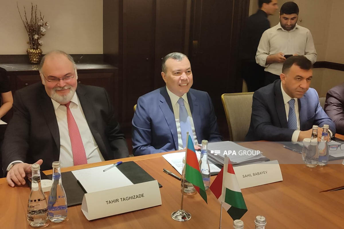 В Баку проходит 10-е заседание азербайджано-венгерской межправкомиссии -ФОТО 