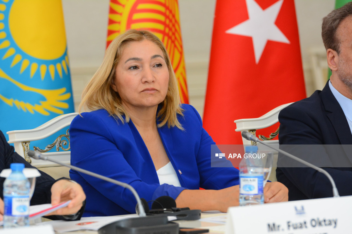 В Баку прошла встреча председателей комитетов по внешним связям парламентов тюркских государств - ФОТО