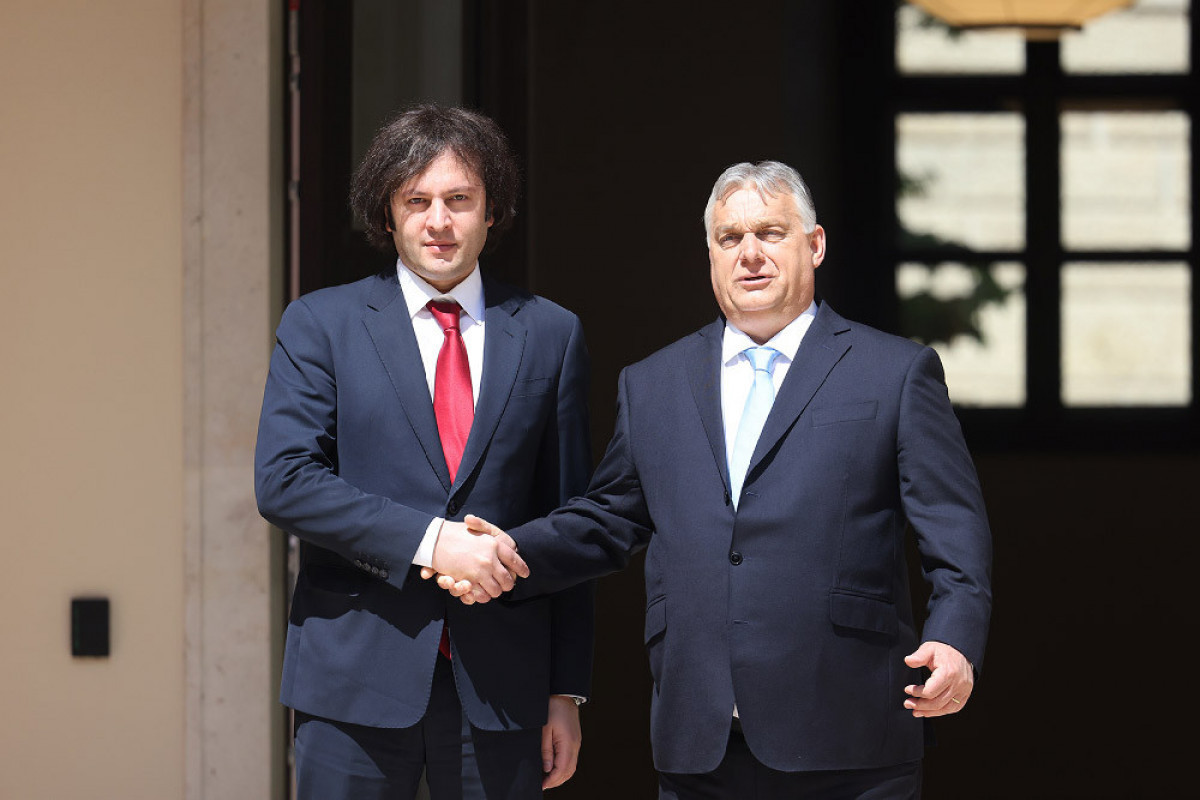 Кобахидзе и Орбан обсудили интеграцию Грузии в ЕС