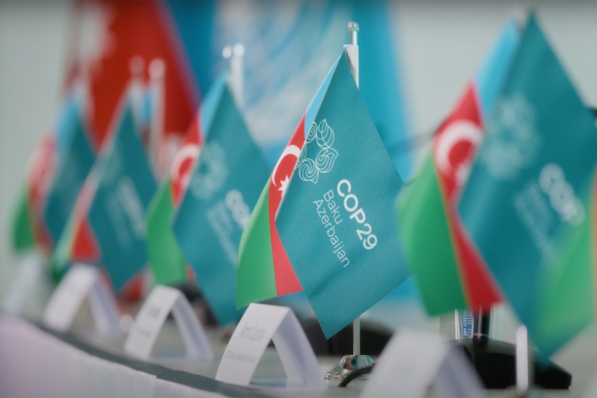 Великобритания может обнародовать новые цели на саммите COP29 в Баку