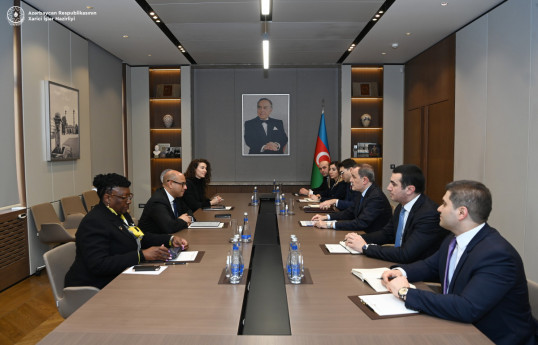 Глава МИД Азербайджана встретился с исполнительным секретарем Рамочной конвенции ООН по изменению климата
