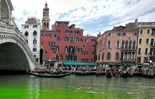 В Венеции женщина умерла от лихорадки Западного Нила после укуса комара