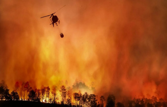 Число жертв лесных пожаров в Чили достигло 51 -ОБНОВЛЕНО 