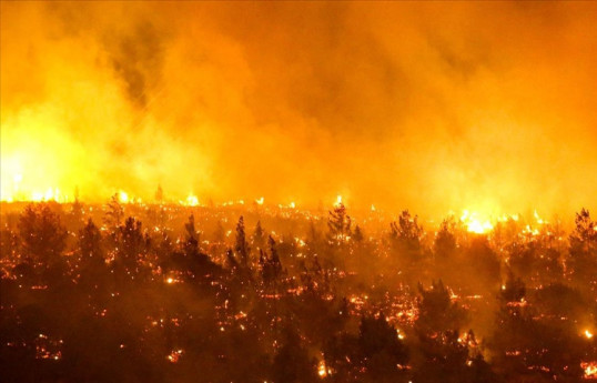 Число погибших в результате лесных пожаров в Чили достигло 112 человек-ОБНОВЛЕНО-1 