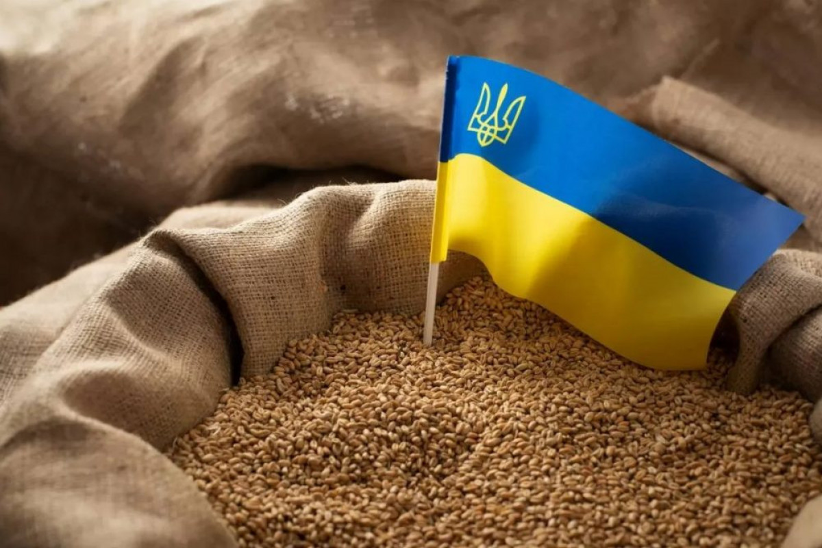 МИД Турции: Анкара готовит новый механизм экспорта украинского зерна