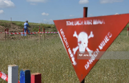 На освобожденных территориях Азербайджана обнаружены еще 94 мины и 150 НРБ
