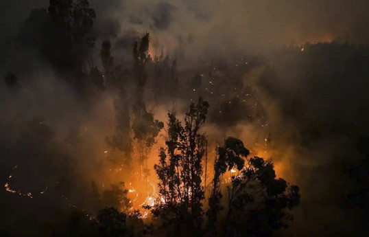 Число погибших в результате лесных пожаров в Чили достигло 122