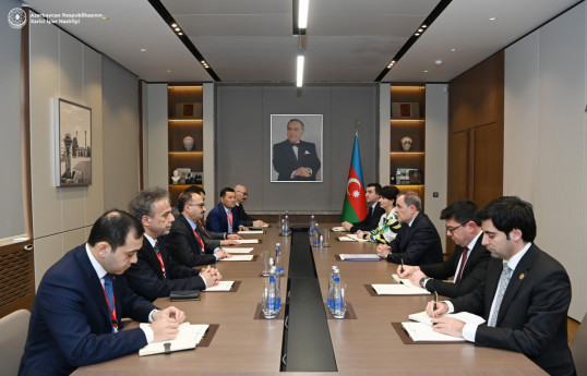 Глава МИД Азербайджана принял руководителя наблюдательной миссии ТЮРКПА