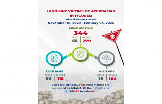 В Азербайджане ANAMA зарегистрировала 3423 жертвы мин с 1991 года до настоящего времени