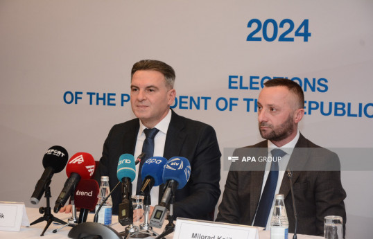 Боснийские депутаты: Выборы в Азербайджане прошли в демократической и справедливой атмосфере