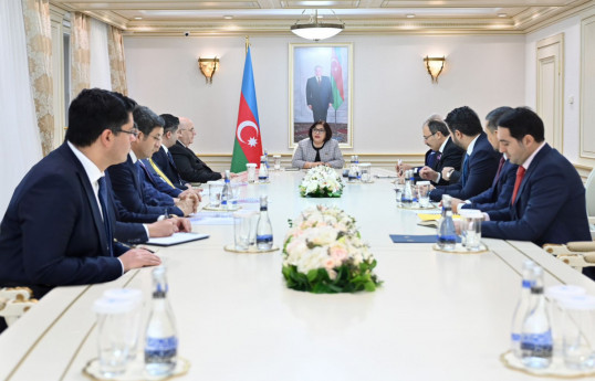 Наблюдательные миссии ТюркПА и турецкого парламента высоко оценили президентские выборы в Азербайджане
