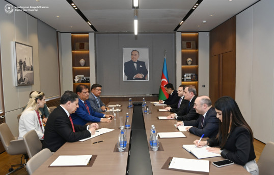 Глава МИД Азербайджана встретился с делегацией Федерального сената Бразилии