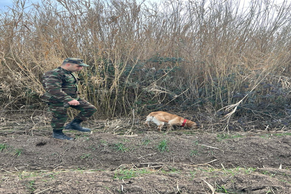 Продолжаются поиски 11-летнего мальчика, предположительно утонувшего в  канале в Имишли - ВИДЕО