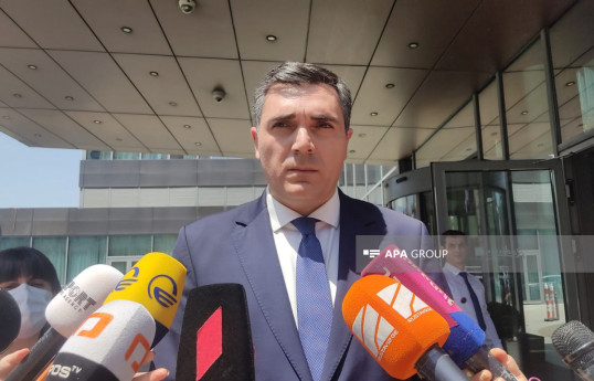 Министр иностранных дел Грузии  находится с визитом в Турции