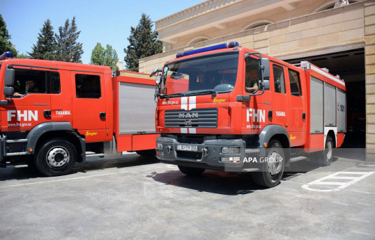 МЧС Азербайджана: За минувшие сутки осуществлено 43 выезда на пожары, спасены 5 человек