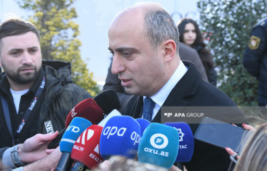 Министр: В Азербайджане все инциденты, связанные со школами, расследуются