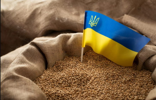 Премьер Польши поставил ультиматум ЕС по поводу украинского зерна