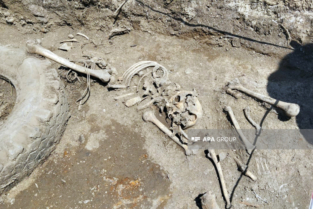 Из массового захоронения в Ходжалы извлечены останки еще одного несовершеннолетнего
