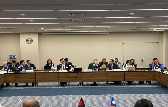 Замглавы МИД Азербайджана выступил в Токио на встрече по изменению климата