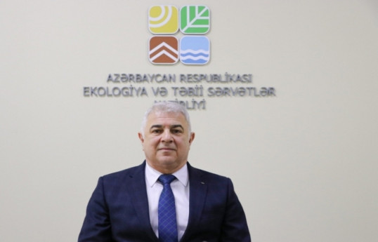 Замминистра: Итоги COP29 будут позитивными для Азербайджана