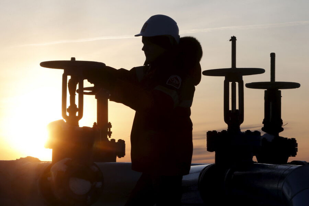 Болгарские таможенники провели проверку складов завода «Лукойл нефтохим Бургас»