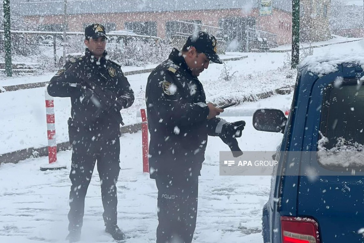 Какого числа выпадет первый снег