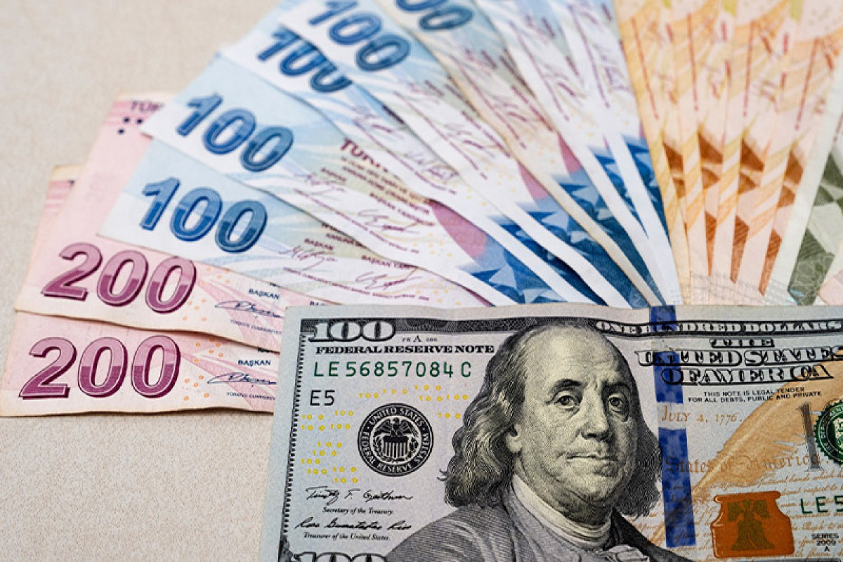 В Турции доллар подорожал до 30 TL