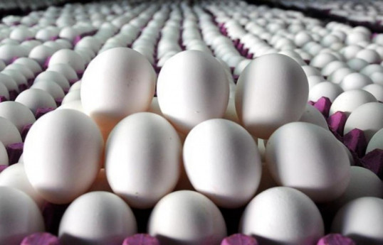 Азербайджан экспортировал в Россию 1,5 млн яиц