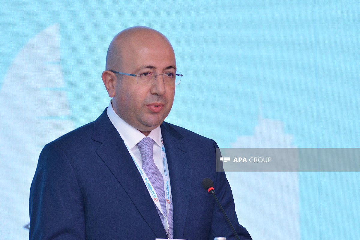 Председатель Госкомитета: Перенос ряда университетов за пределы Баку не исключается