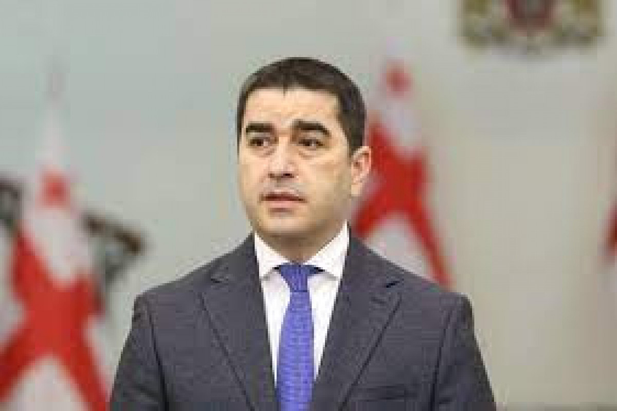 Шалва Папуашвили 