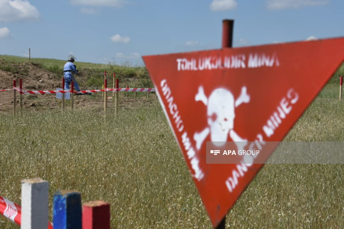 На освобожденных территориях Азербайджана в прошлом месяце было обнаружено 549 мин, 1695 НРБ