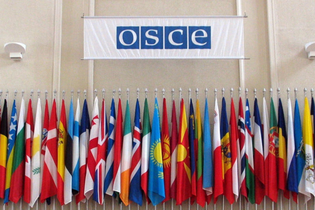 Россия приостанавливает участие в ПА ОБСЕ