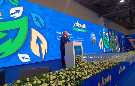 Эмин Амруллаев